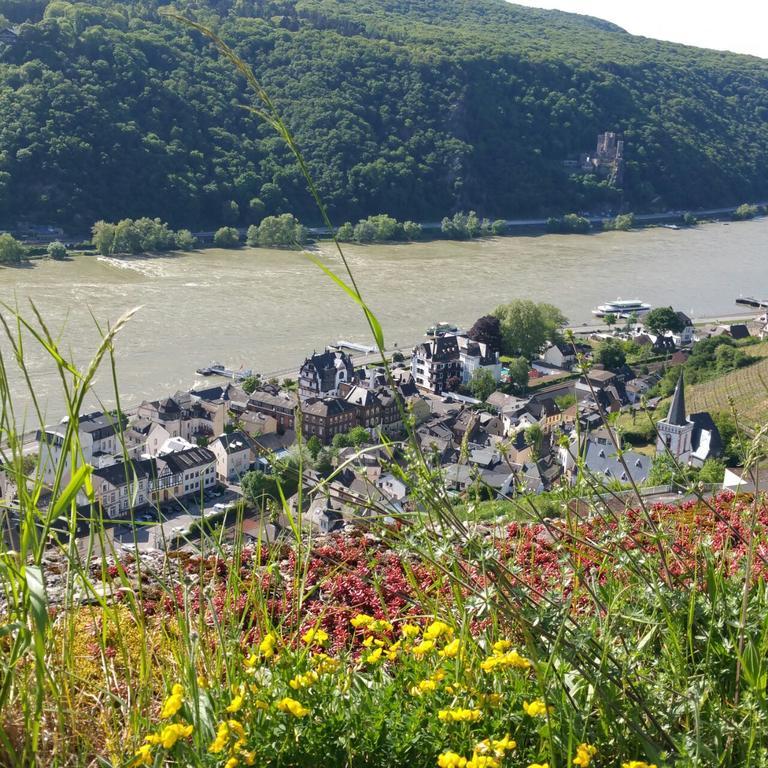 Eismauer Suite Ruedesheim am Rhein Luaran gambar